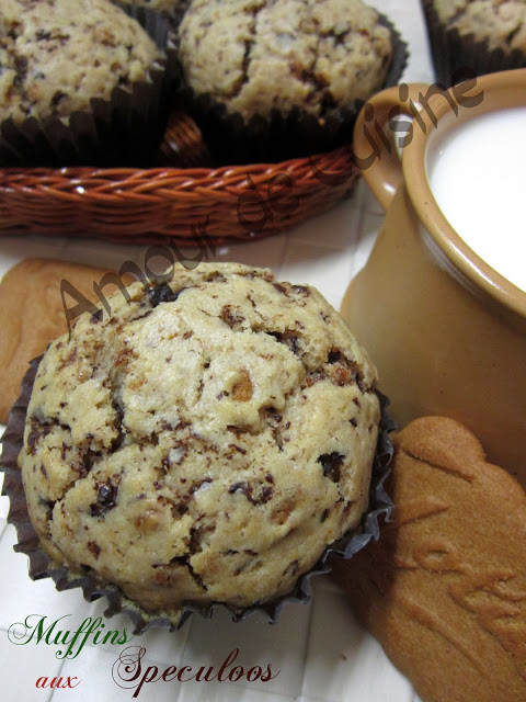 biscoff chocolate muffins