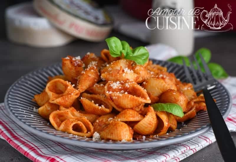 Plate of shell pasta in rich tomato vegetable sauce, topped with grated parmesan and fresh basil leaves, served on a grey dish with a fork and a red-and-white cloth underneath